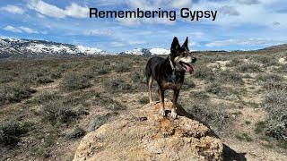 Remembering Gypsy