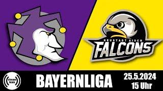  Hof Jokers 𝗔𝗧 Neustadt Falcons - Bayernliga - American Football Livestream - AFVD - AFVBy