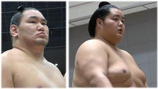 Hoshoryu fights 31 bouts; Kotozakura goes 25-5; Onosato gets 126-kg tuna (Sumo News, Jan 5th)