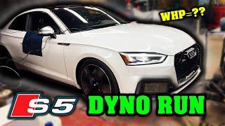 400HP Stage 2 B9 Audi S5 Goes to the DYNO - Guess the WHP?