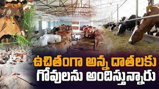 Free Cow shelter | Gaushala | Desi cows | Goshala | Signature studios