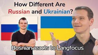 Bosnian reacts to Langfocus - HOW DIFFERENT ARE UKRAINIAN AND RUSSIAN?