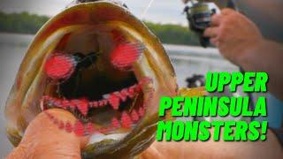 Michigan Monster Bass Fishing with Strike King Rage Cut-R Worm!