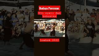 budaya Peresean Lombok #shorts #pereseanterbaru2022 #annaba89channel