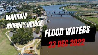 Murray River Floods 23/12/2022 | Mannum and Murray Bridge