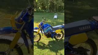 Yamaha XT600Z Ténéré 1vj restauriert