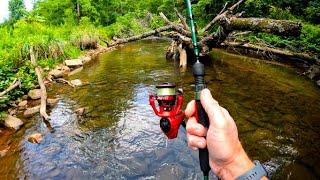 Catching Trout with inline Spinners & Jerkbaits  [ brown trout ,rainbow trout ]