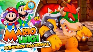 ¡Chippi! - 65 - Mario y Luigi: Conexión Fraternal en Español - DSimphony