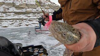 Burbot Fishing First Ice on Flaming Gorge