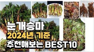 2024년 불티나게 팔린 눈개승마 추천순위 TOP10