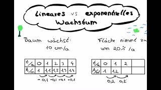 Lineares Wachstum versus exponentielles Wachstum (Exponentielle Zusammenhänge, Teil 1)