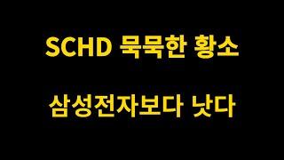 올해 수익률 20%대, SCHD | 묵묵한 황소처럼 혼자 가는 중