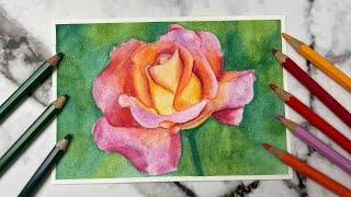 How To Use Watercolor Pencils & Watercolor Pencil Flower Painting