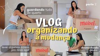 ORGANIZANDO A MUDANÇA parte 2 / VLOG Mudança