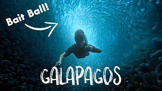 The BEST week of my life in the GALAPAGOS!