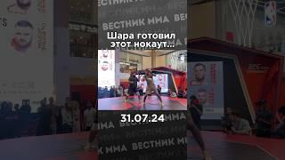 Шара Буллет (15-0) нокаутировал Армена Петросяна (9-4) в конце второго раунда на #ufc308 #mma