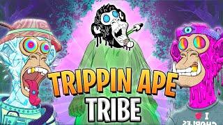 THIS SOLANA NFT PROJECT WILL EXPLODE! | TRIPPIN APE TRIBE