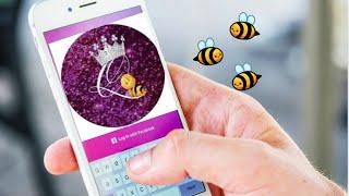 Bees buzzing in the Crime Genre. Queen Bee Drama