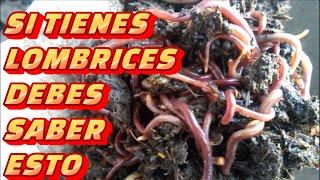 TIENES LOMBRICES DEBES SABER ESTAS 10 COSAS