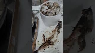 하루에 단 50마리 고등어구이/영종도 해물칼국수/예단포칼국수/태평양호/예단포태평양호