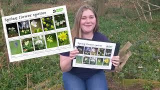 Wildlife Wednesday: How to spot spring flowers