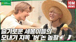 [GOING SEVENTEEN] EP.14 버논에서 모처럼 모내기를 하며 모든 내기를 해보았다 #1 (Planting Rice and Making Bets #1)