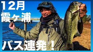 【12月霞ヶ浦】冬に有名な霞ヶ浦のポイントで連発する！