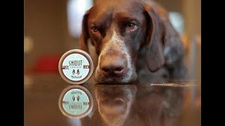 Natural Dog Company Snout Soother