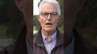 Blenheim Palace Harveywetdog promo #videoingperfection #equestrian #eventing #shortswithcamilla
