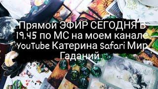 Катерина Safari МИР ГАДАНИЙ в прямом эфире! ПРЯМОЙ Эфир. гадаю Для Всех Желающих.