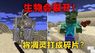 【我的世界 mod】全世界一切物品被破坏后都会裂开！更真实的MC