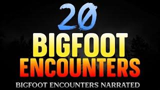 20 BIGFOOT ENCOUNTERS