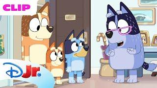 First Look at Bluey Minisodes "Blocks" | @disneyjr x @BlueyOfficialChannel