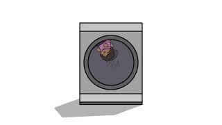 Pix Spinning in a Dryer for 32 Seconds