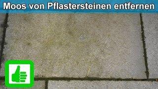 Moos & Grünbelag von Pflastersteinen ( Terrasse ) entfernen / Hausmittel Moosentferner - Anleitung