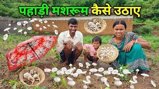 कैसे उठाते हैं जंगली मशरूम | पति - पत्नी को मिला इतना सारा देशी मशरूम | Pahadi Traditional Mashroom