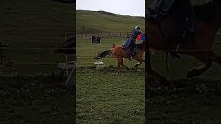 Horseback Archery Competition Mongolia 30 Aug 2024