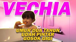 VECHIA GOSOK GIGI