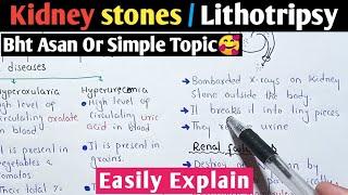 Kidney Stones | Lithotripsy | Class 12 Biology