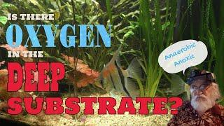Anaerobic and Anoxic Conditions - Is there Oxygen in the Substrate? || Deep Substrate Aquariums