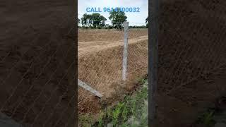 cement pole for fencing agriculture punjab|Dragon fruit farming|chainlink fencing 9614700032#farming