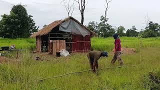 សង់រោងថ្មីឱ្យប្អូនស្រីទិត្យអ៊ីងជាជំនួញកូនលោកតាប៊ុនចាន់