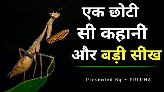 एक छोटी सी कहानी में बहुत बड़ी सीख || कहानी जो अनमोल सीख दे || Short Moral story..