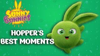 Hopper's Best Moments - SUNNY BUNNIES | Season 1 | Cartoons for Kids