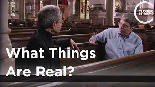 Eric Steinhardt - What Things Are Real?