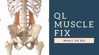 FIX Quadratus Lumborum (QL) Muscle Back Pain By Following These Exercises & Tips!