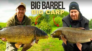 16lb barbel + BIG CARP Fishing the River Trent