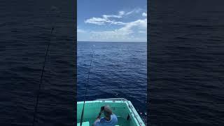 Fort Lauderdale Fishing Charters Lady Pamela 2 Big Blue Marlin
