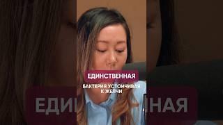 Хотите плоский живот? #metabody #споровыебактерии #нутрициолог #медицина #микробиом