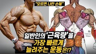 '근육량' 빠르게 늘려주는 운동 1위는 무엇일까? (스쿼트 vs 데드리프트)